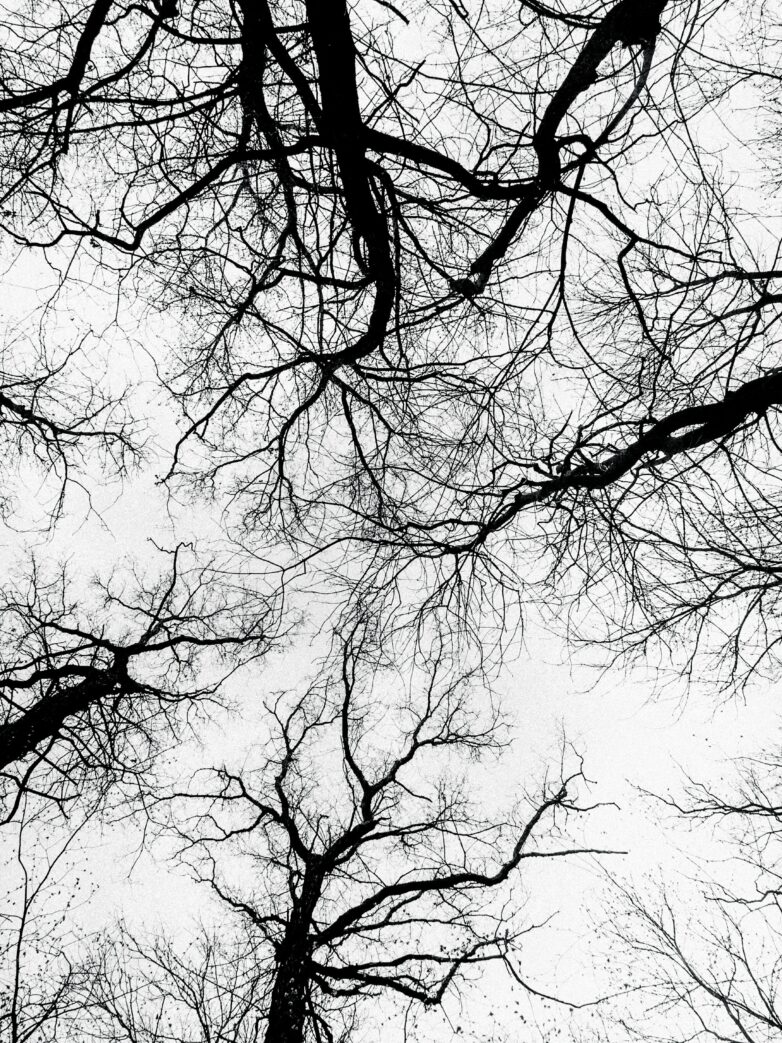 Designing to calm the nervous system